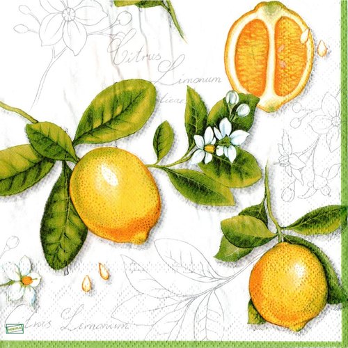 2 serviettes papier - citrons oranges -26
