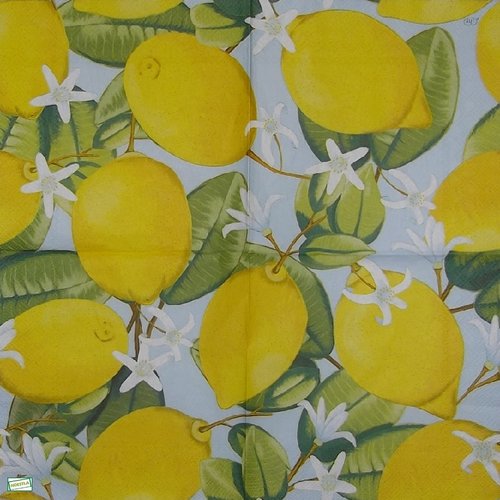2 serviettes papier - citrons oranges -39