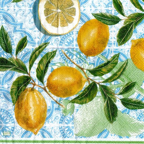2 serviettes papier - citrons oranges -42