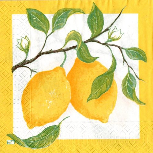 2 serviettes papier - citrons oranges -44