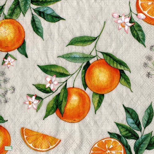 2 serviettes papier - citrons oranges -53