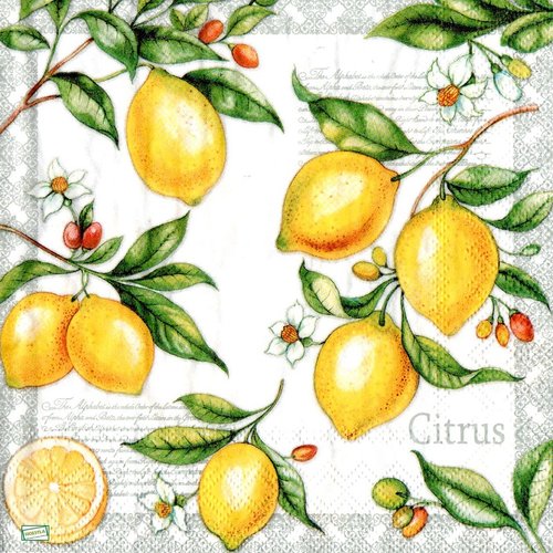 2 serviettes papier - citrons oranges -55