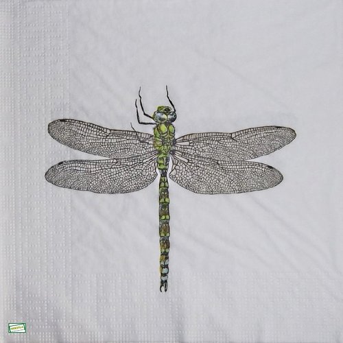 2 serviettes papier - insectes -41