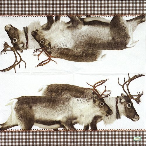 2 serviettes papier -animaux bois -63