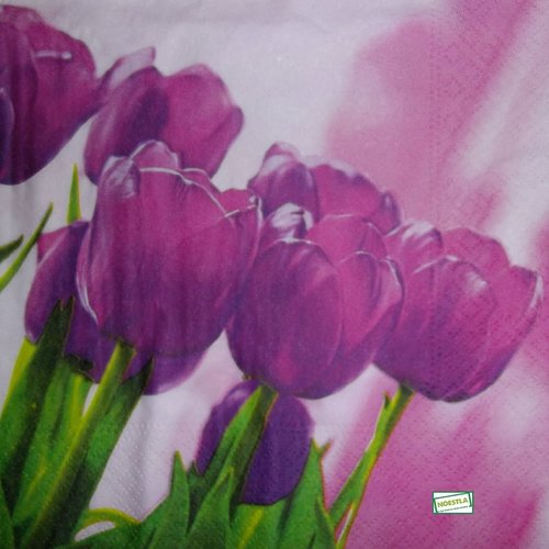 2 serviettes papier - tulipes jonquilles -10