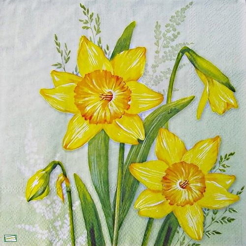 2 serviettes papier - tulipes jonquilles -22