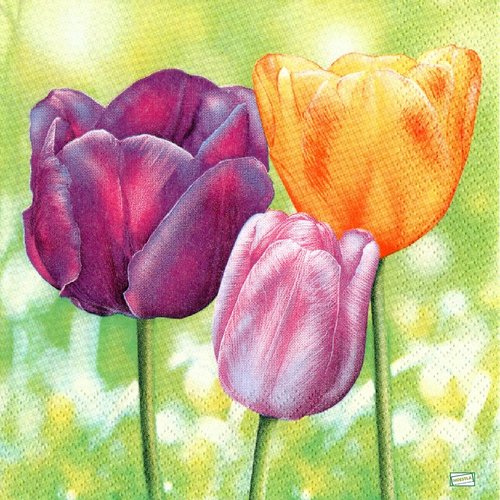 2 serviettes papier - tulipes jonquilles -31