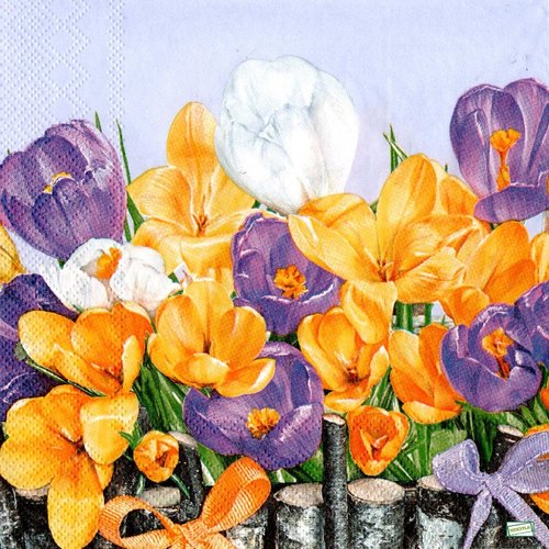 2 serviettes papier - tulipes jonquilles -57