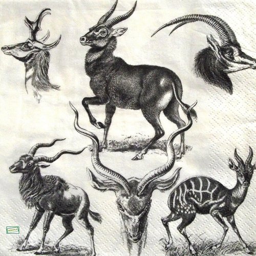 2 serviettes papier - animaux afrique -81