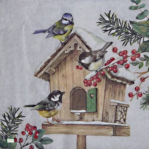 2 serviettes papier - les oiseaux-44