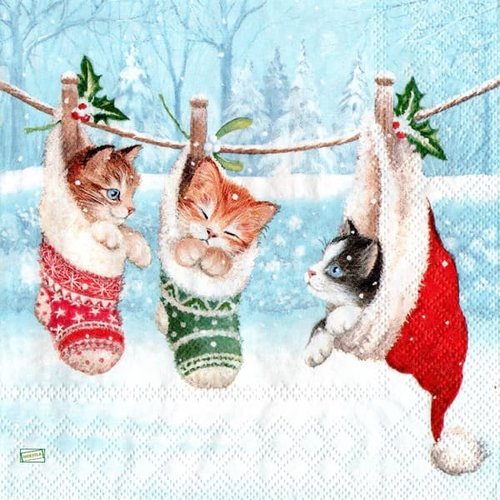 2 serviettes papier - chats -4