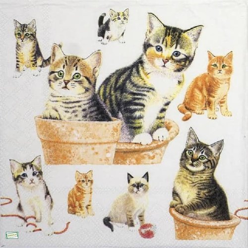 2 serviettes papier - chats -6