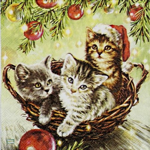 2 serviettes papier - chats -11