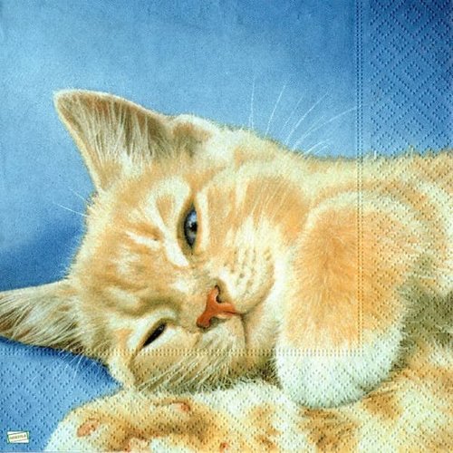 2 serviettes papier - chats -18