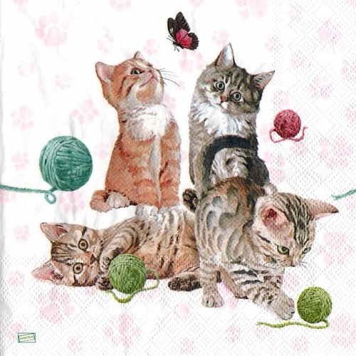 2 serviettes papier - chats -20
