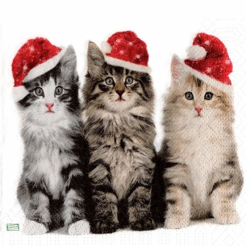 2 serviettes papier - chats -30