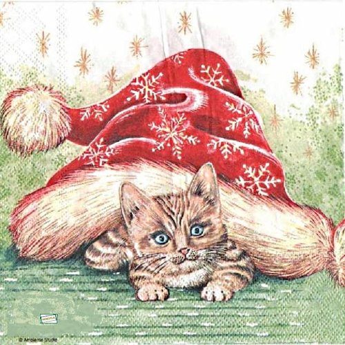 2 serviettes papier - chats -36