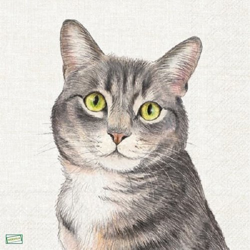 2 serviettes papier - chats -37
