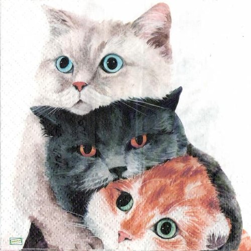 2 serviettes papier - chats -42