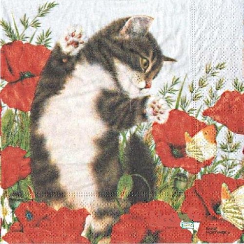 2 serviettes papier - chats -48