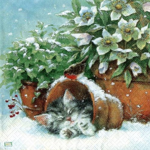 2 serviettes papier - chats -57