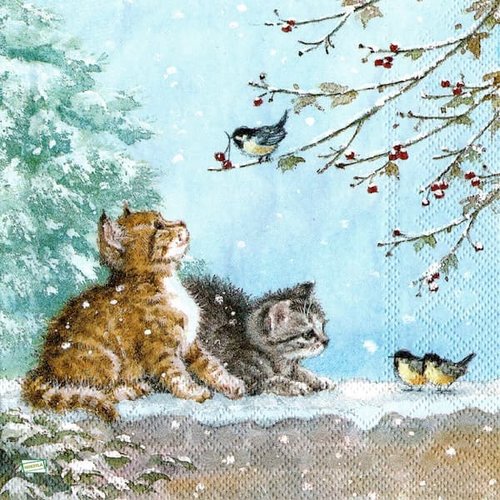 2 serviettes papier - chats -59