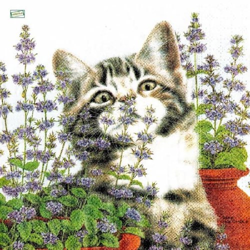 2 serviettes papier - chats -107