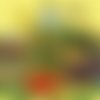 2 serviettes papier - cuisine -61