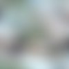 2 serviettes papier - paysage de neige- 62