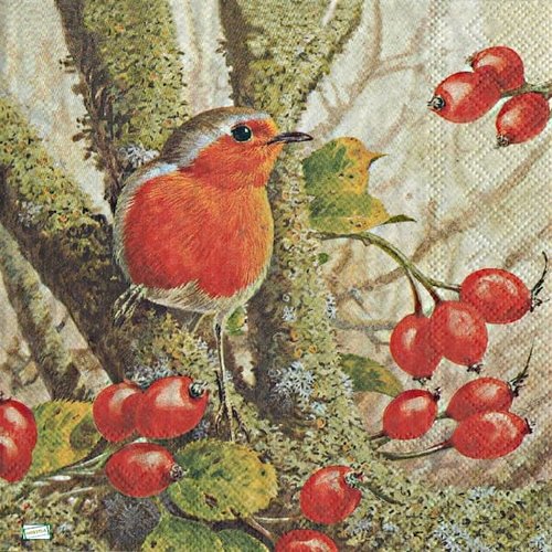 2 serviettes papier - les oiseaux-2