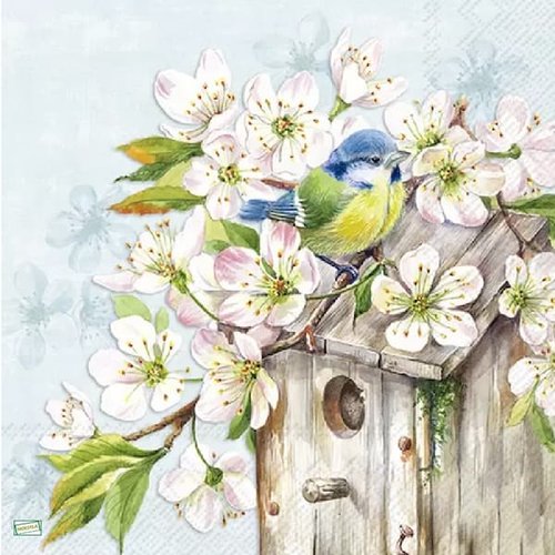 2 serviettes papier - les oiseaux-5