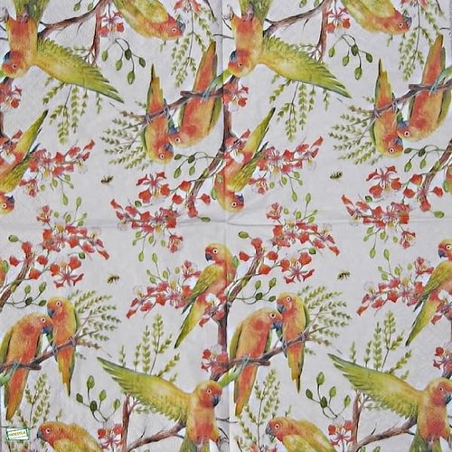 2 serviettes papier - les oiseaux-9