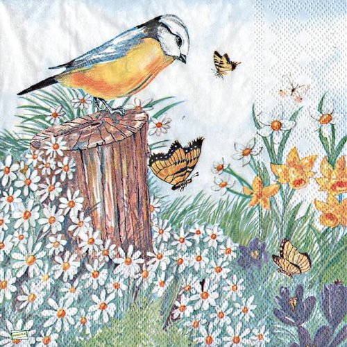 2 serviettes papier - les oiseaux-13