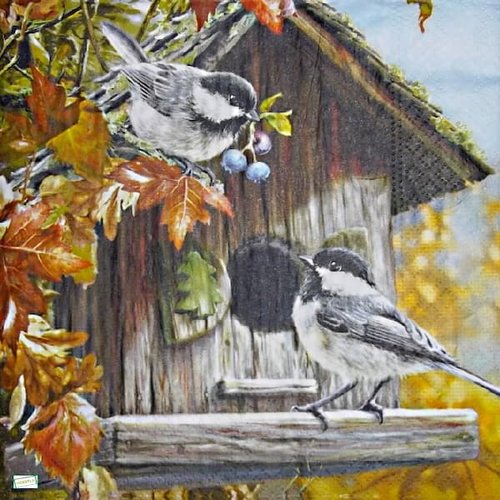 2 serviettes papier - les oiseaux-24