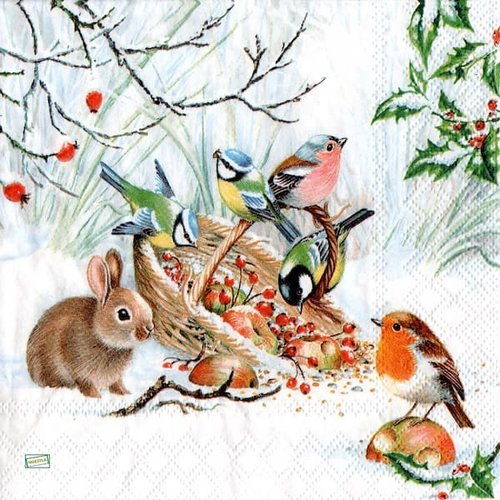 2 serviettes papier - les oiseaux-28