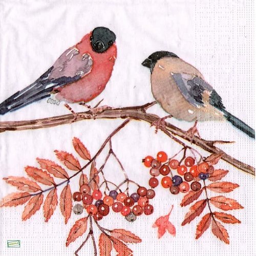 2 serviettes papier - les oiseaux-34