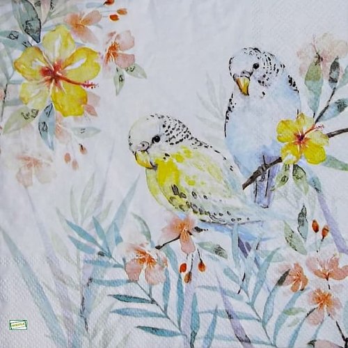 2 serviettes papier - les oiseaux-37