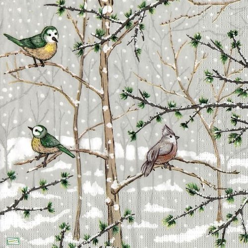 2 serviettes papier - les oiseaux-53