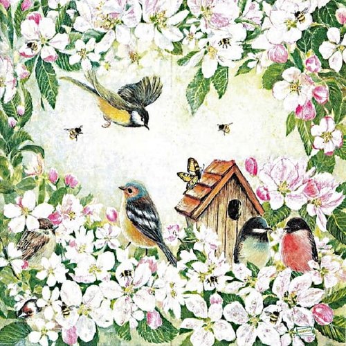 2 serviettes papier - les oiseaux-54