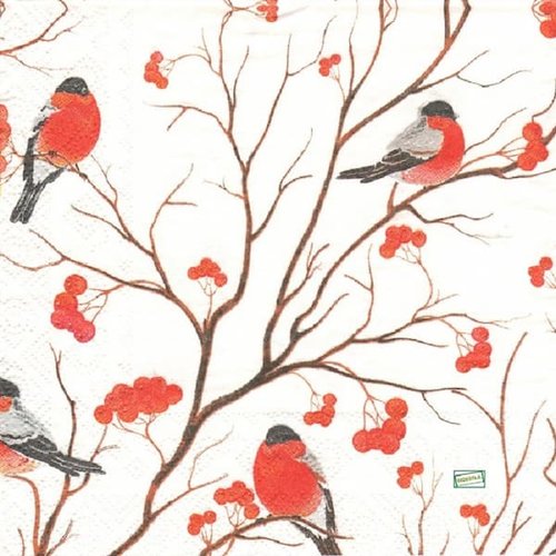 2 serviettes papier - les oiseaux-57
