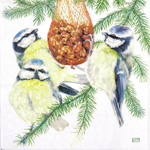 2 serviettes papier - les oiseaux-65