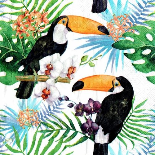 2 serviettes papier - les oiseaux-70