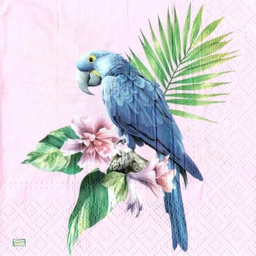 2 serviettes papier - les oiseaux-73