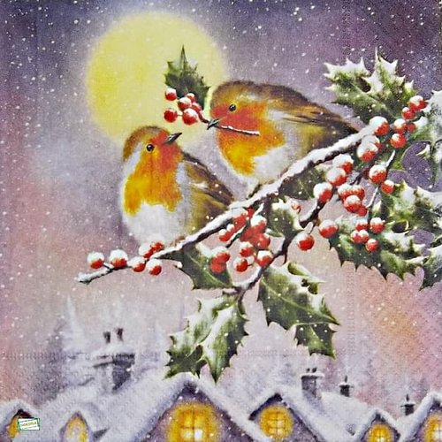 2 serviettes papier - les oiseaux-76