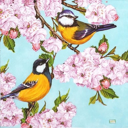2 serviettes papier - les oiseaux-85