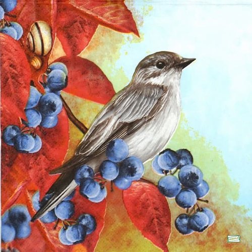 2 serviettes papier - les oiseaux-91