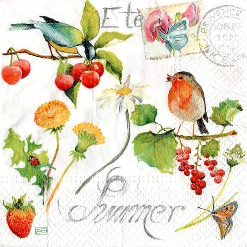 2 serviettes papier - les oiseaux-100