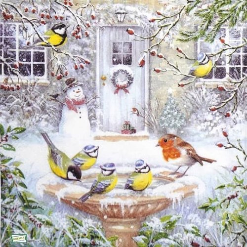 2 serviettes papier - les oiseaux-113