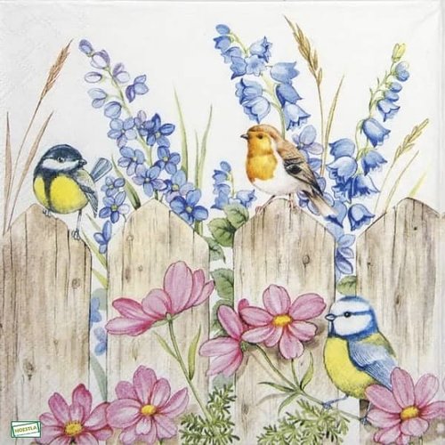 2 serviettes papier - les oiseaux-114