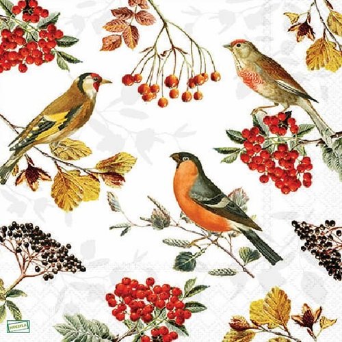 2 serviettes papier - les oiseaux-117